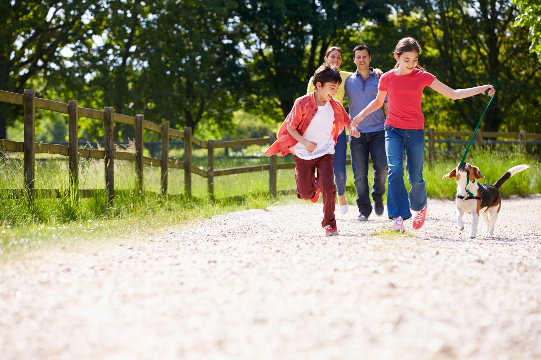 Family walking together outdoors on a sunny path